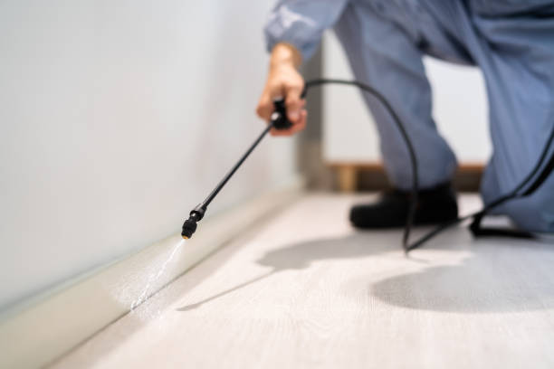 Licensed Cockroach Control service in Arlington County County, VA - Nex Pest Control